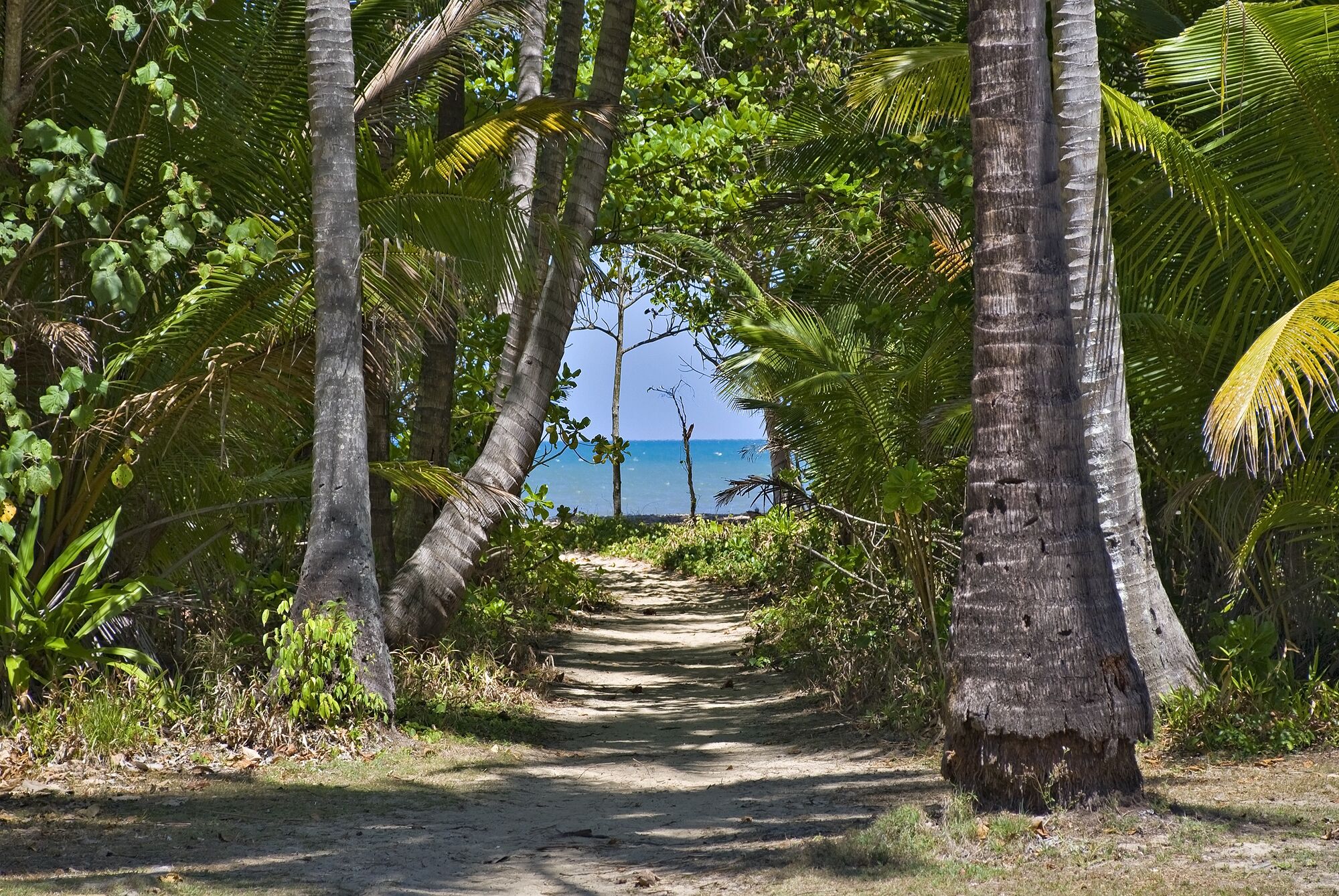 Daintree Beach Resort