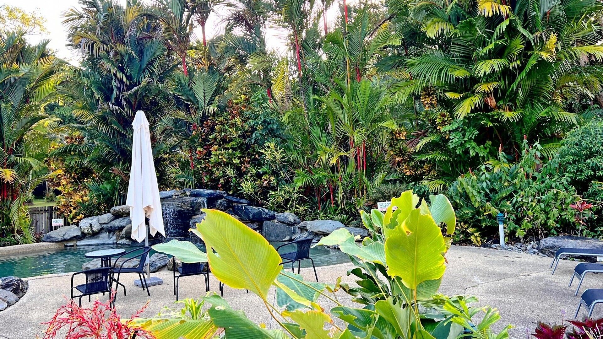 Daintree Beach Resort