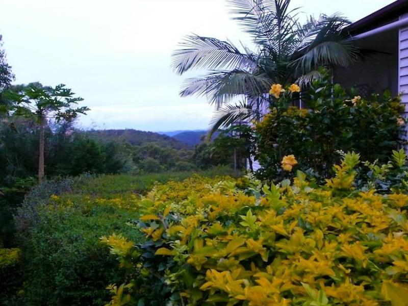 Hilltop On Tamborine