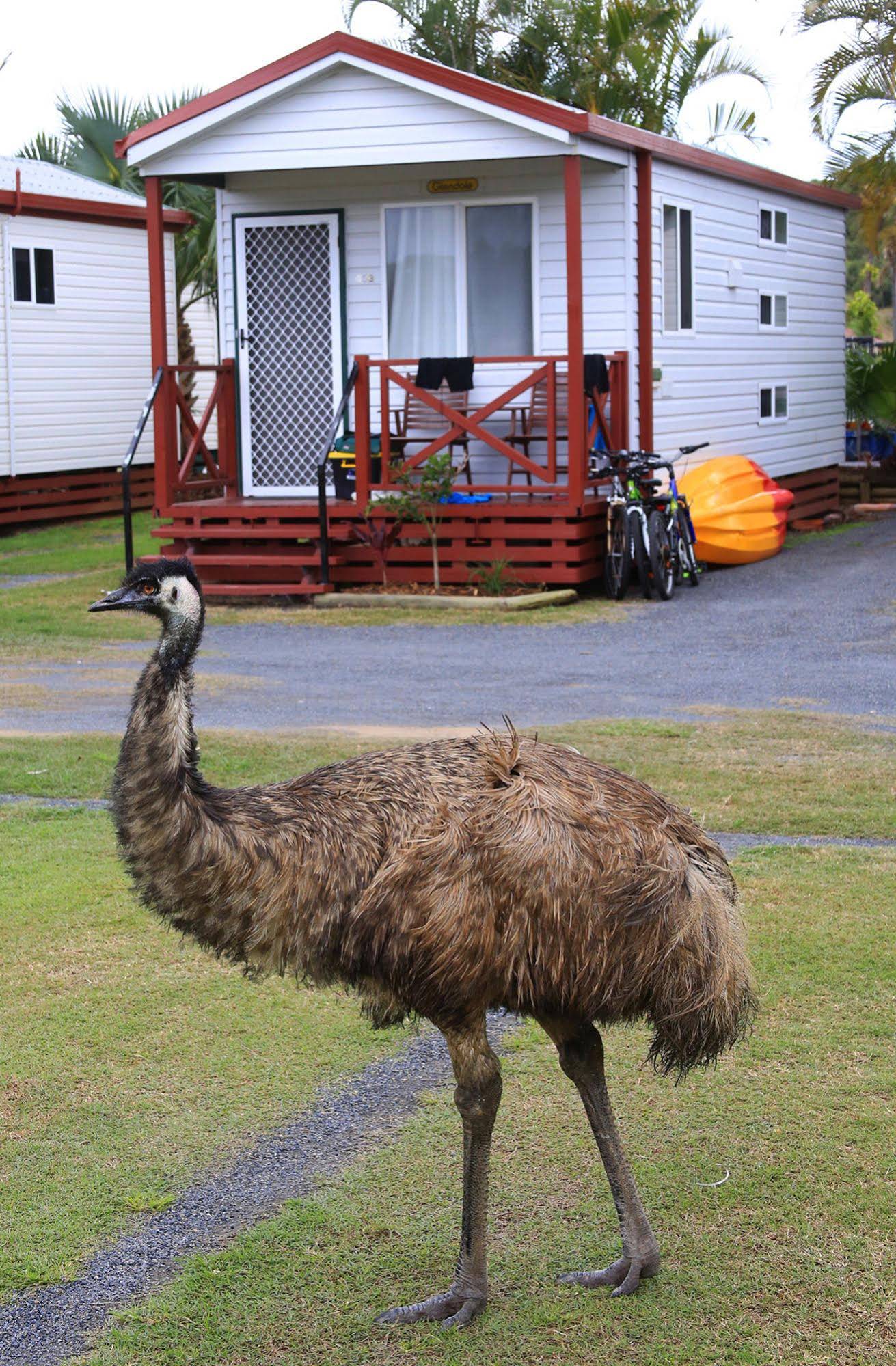 NRMA Capricorn Yeppoon Holiday Park