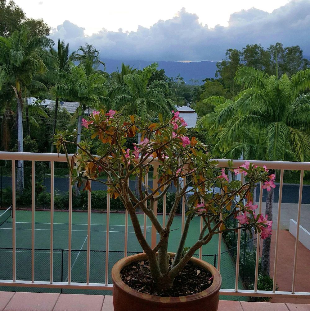 Golden Sands Beachfront Apartment Resort