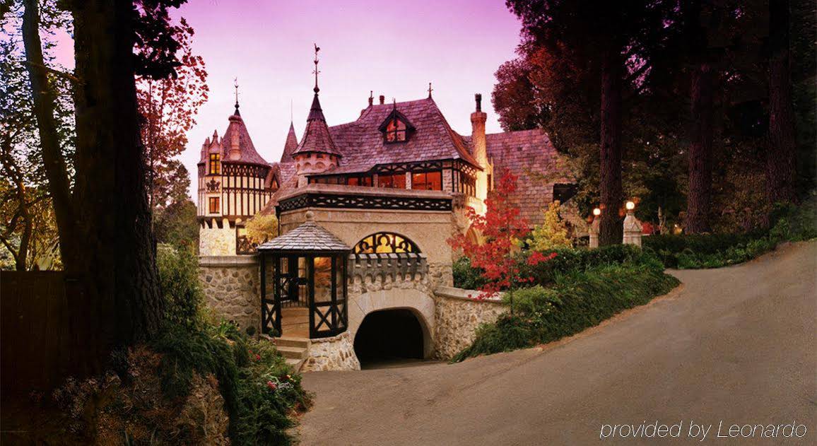 Thorngrove Manor