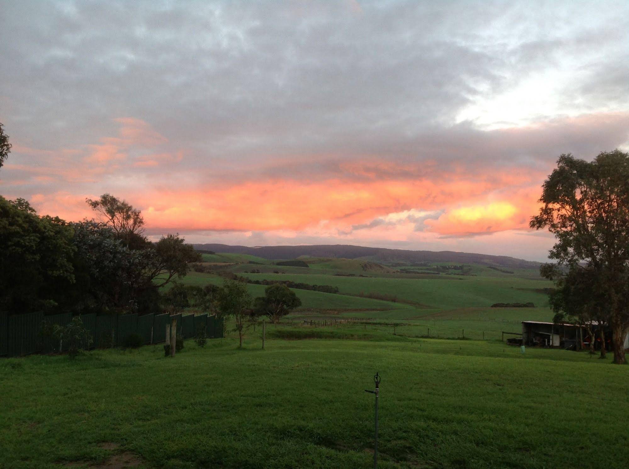Lush Pastures