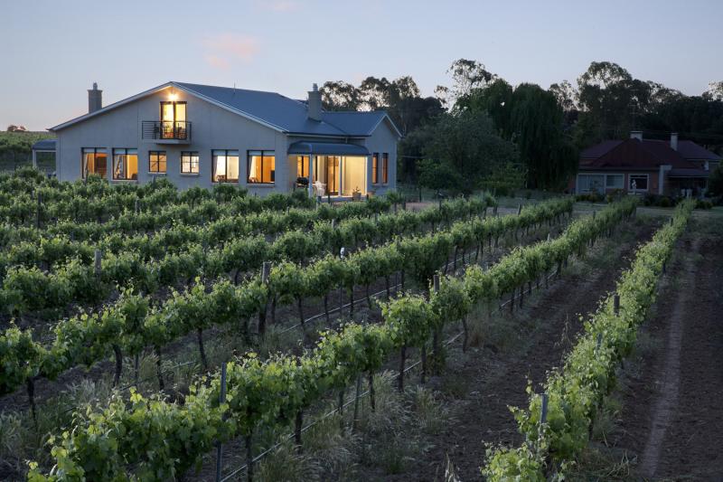 Barossa Shiraz Estate