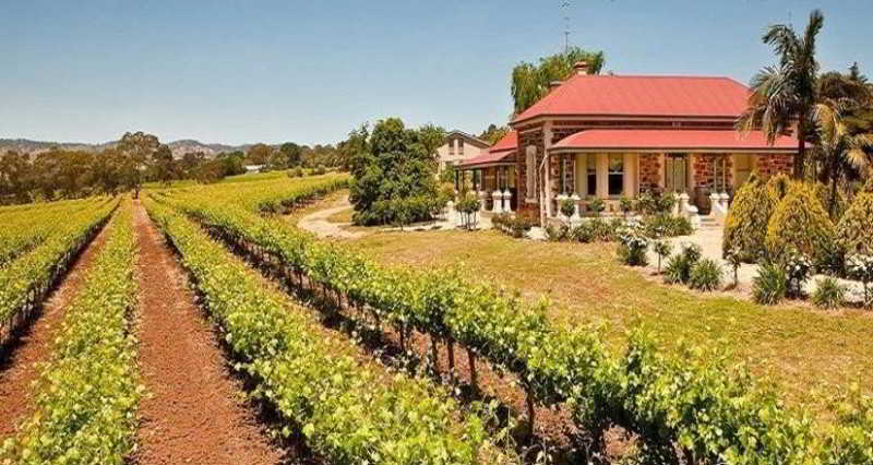 Barossa Shiraz Estate