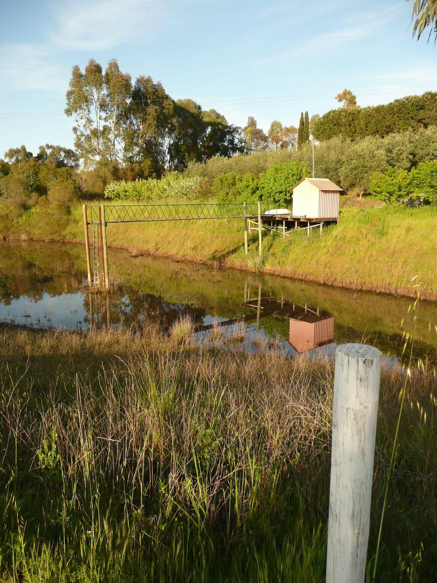 Patly Hill Farm