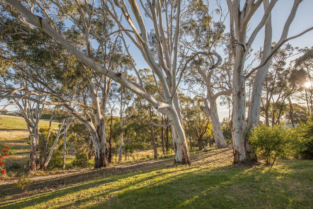 Hahndorf Resort Holiday & Caravan Park