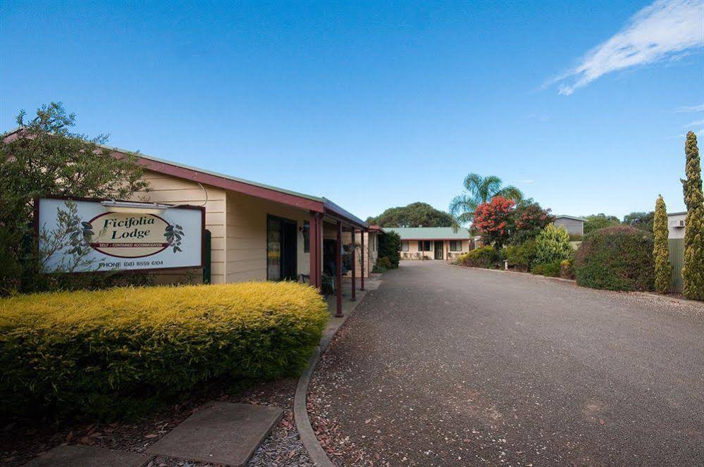 Ficifolia Lodge
