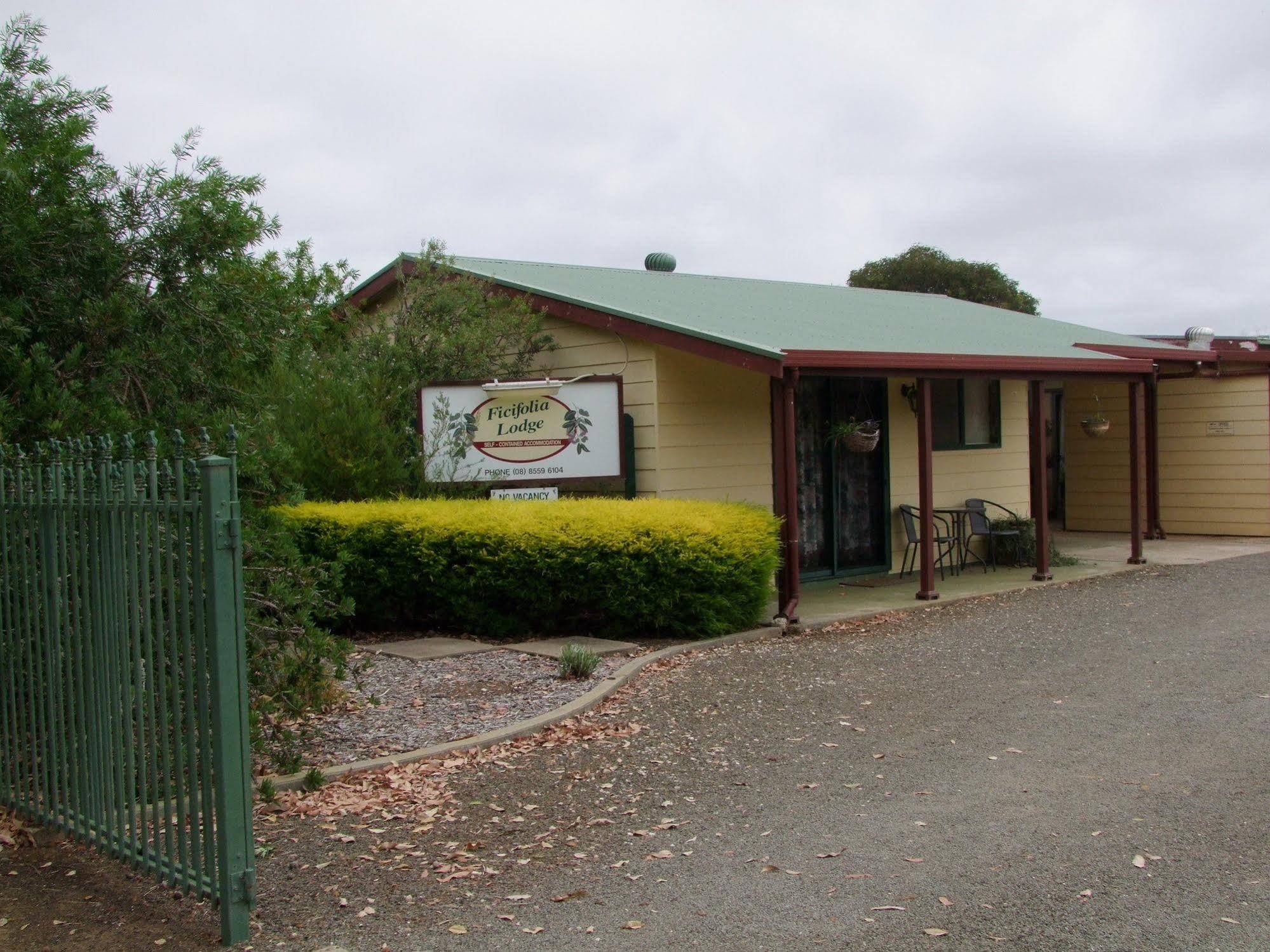 Ficifolia Lodge