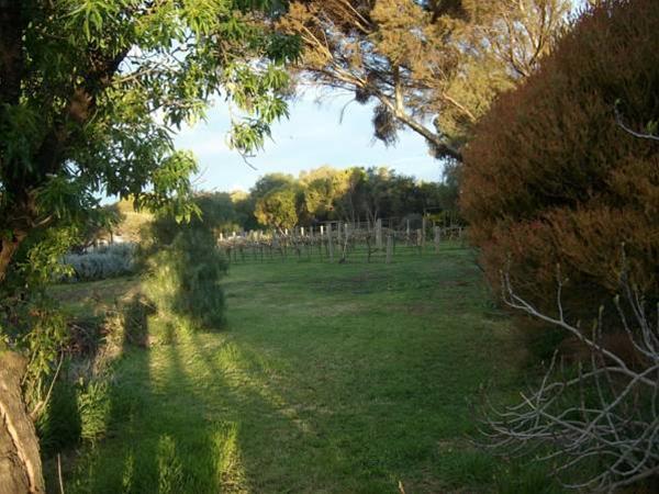 Southern Vales Bed & Breakfast McLaren Vale