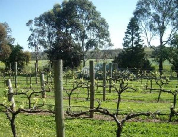 Southern Vales Bed & Breakfast McLaren Vale