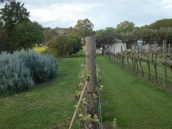 Southern Vales Bed & Breakfast McLaren Vale