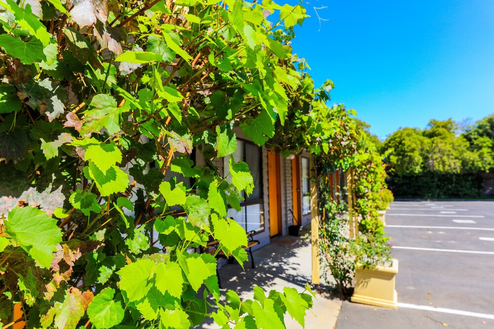 Country Roads Motor Inn