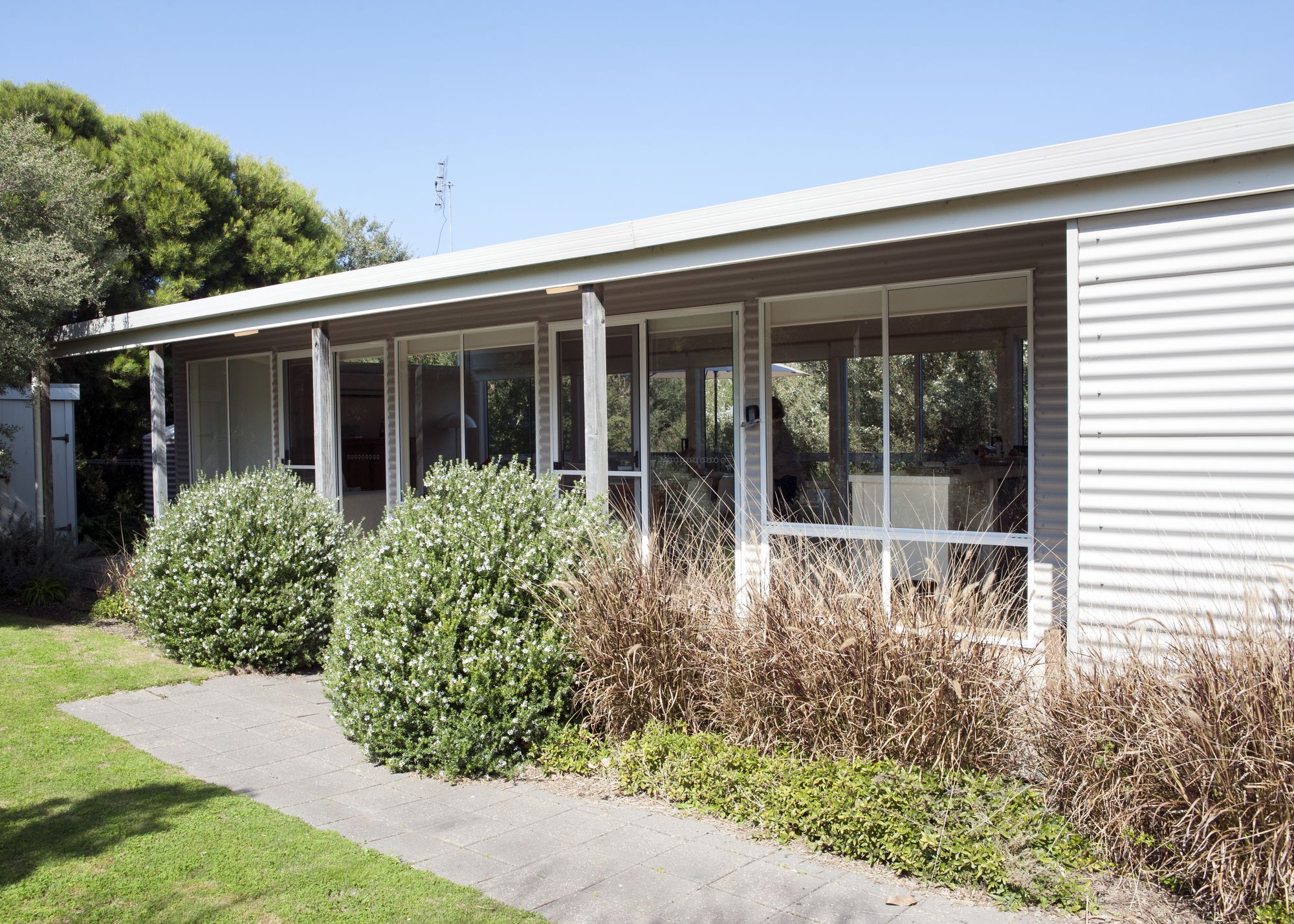 The Pelican Shed