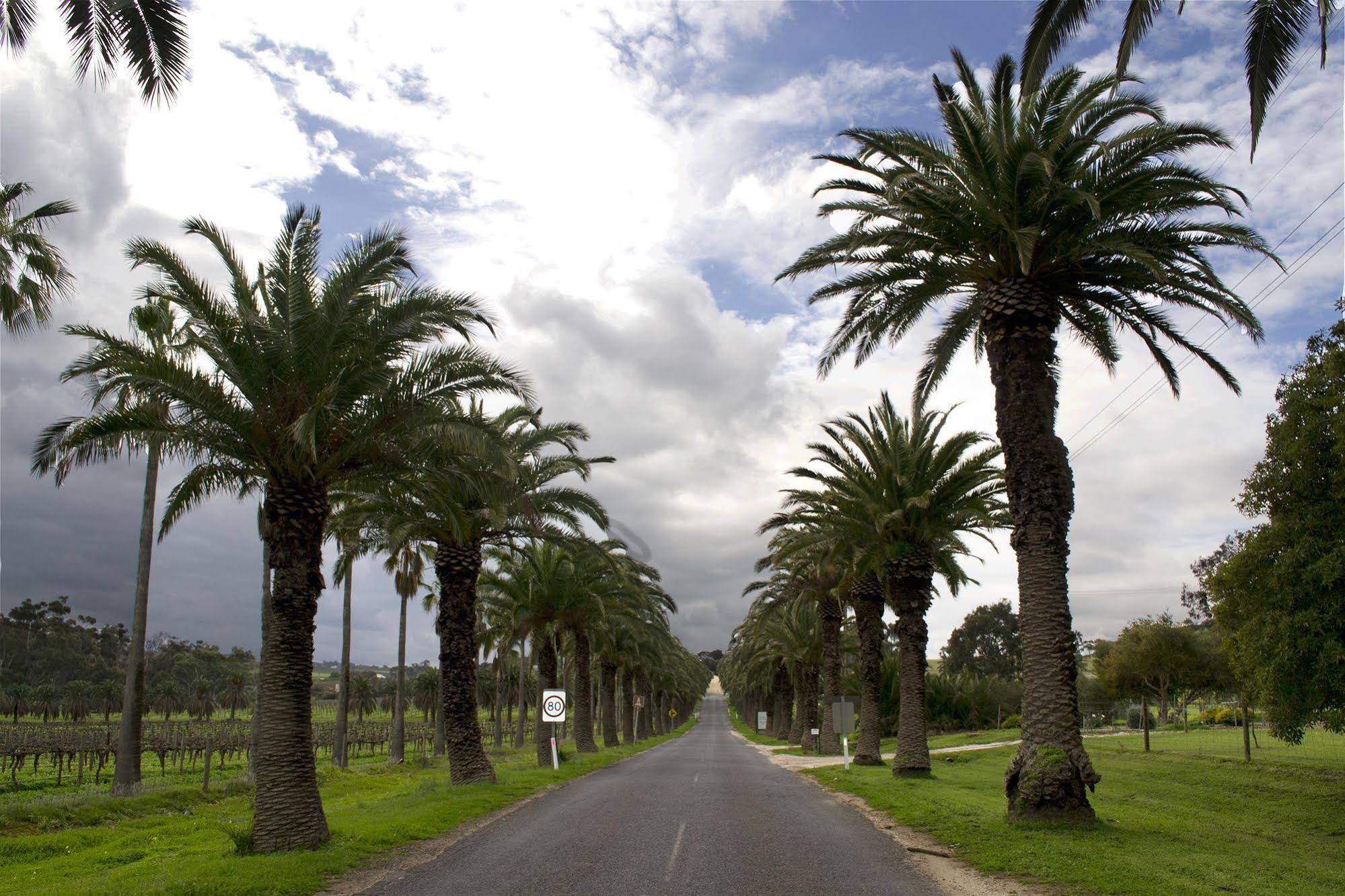 CANVS by CABN Seppeltsfield Barossa