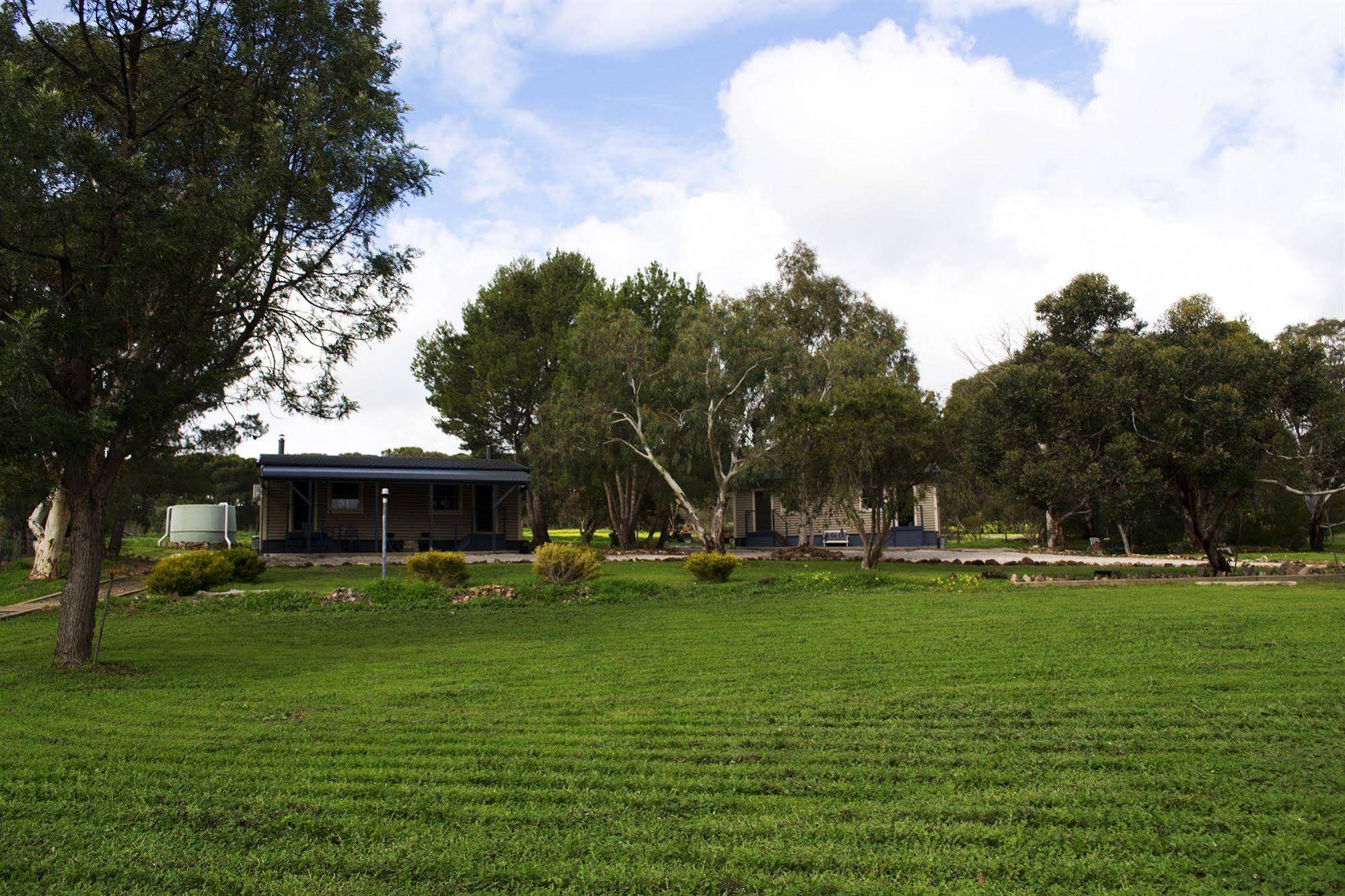 CANVS by CABN Seppeltsfield Barossa