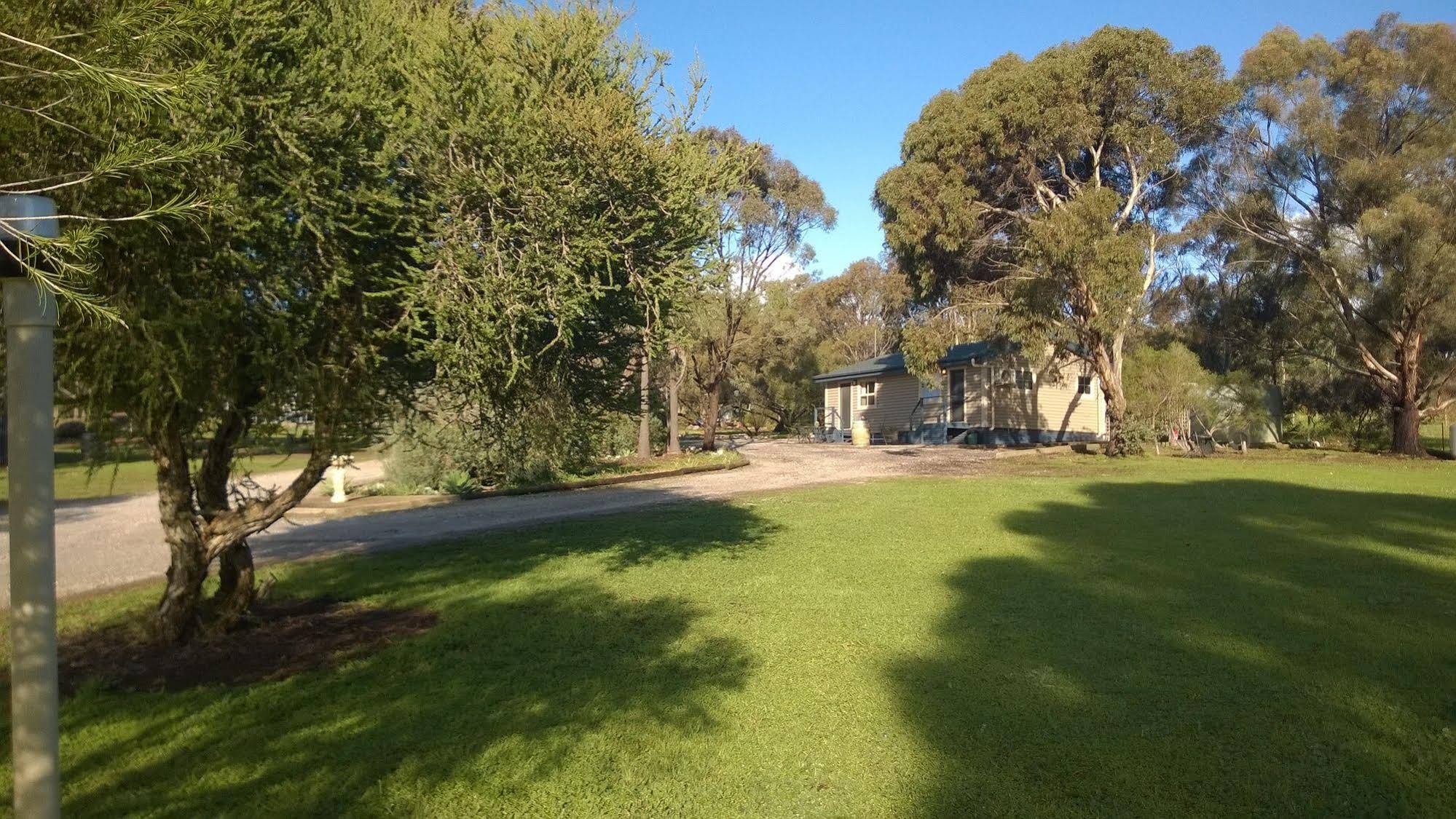 CANVS by CABN Seppeltsfield Barossa
