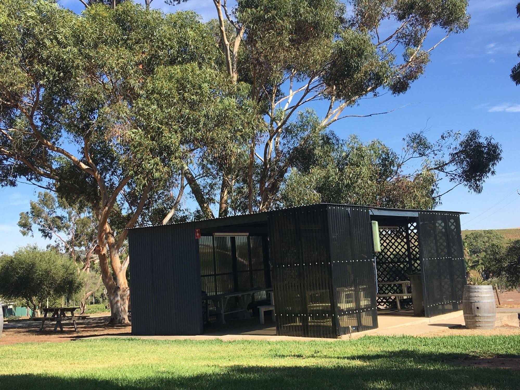 CANVS by CABN Seppeltsfield Barossa