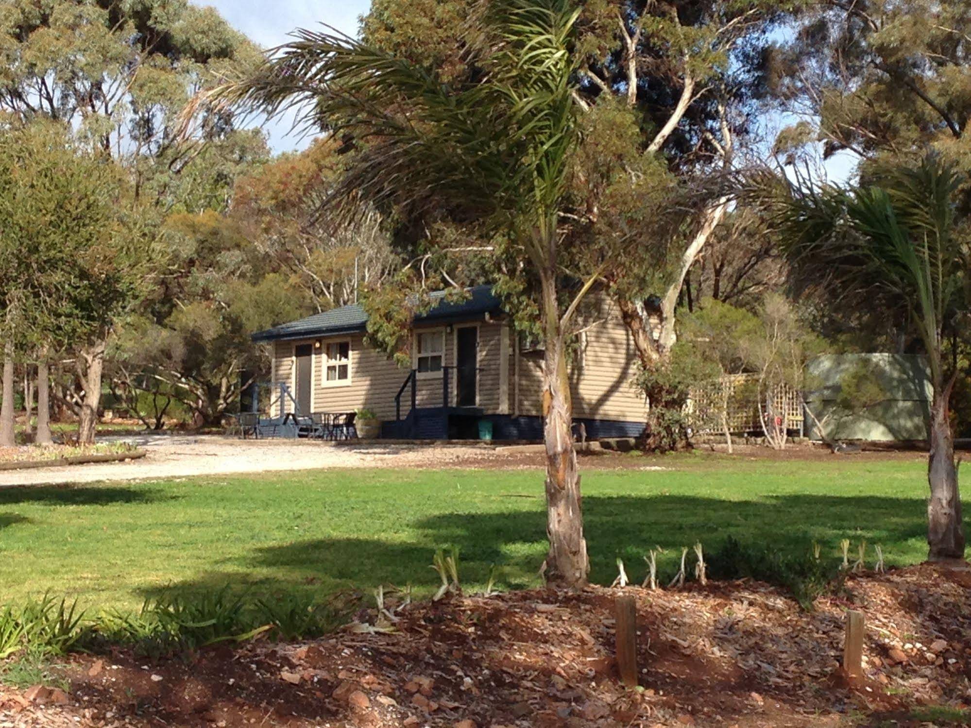 CANVS by CABN Seppeltsfield Barossa