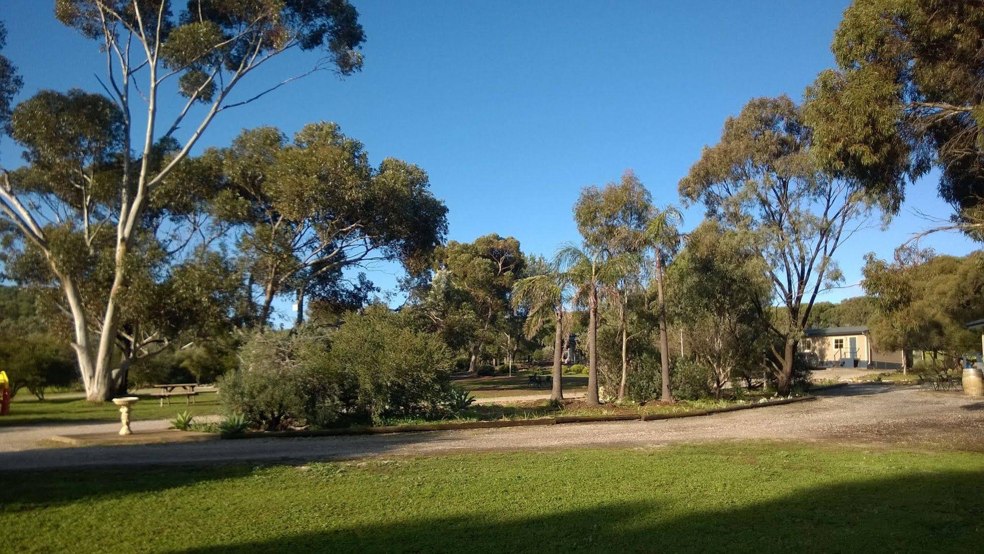 CANVS by CABN Seppeltsfield Barossa