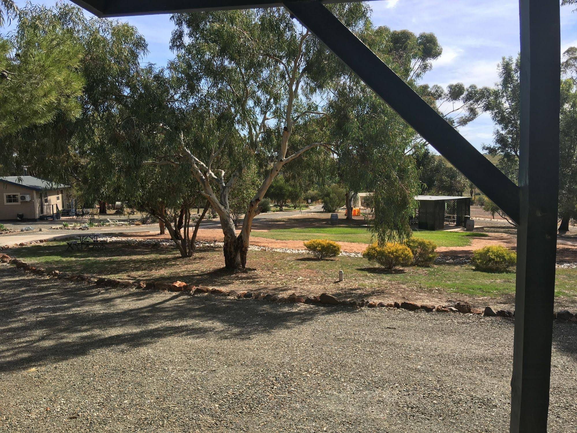CANVS by CABN Seppeltsfield Barossa