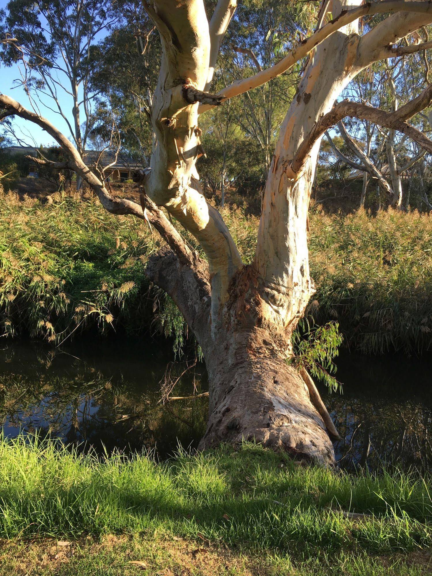 Strathalbyn Gasworks