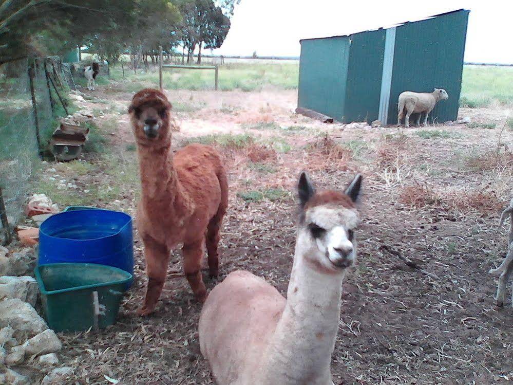 Lyrabendi Farmstay