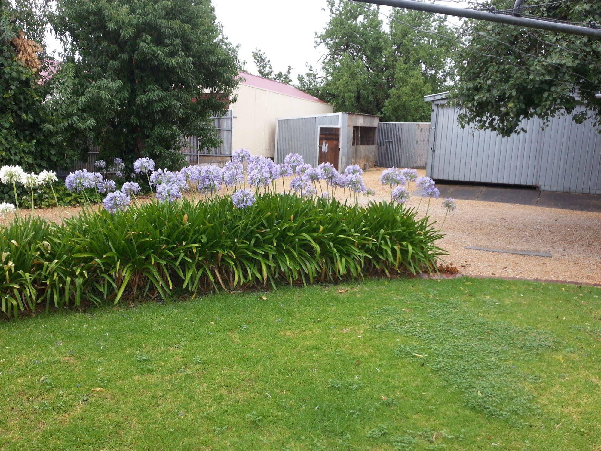 Goat Square Cottages