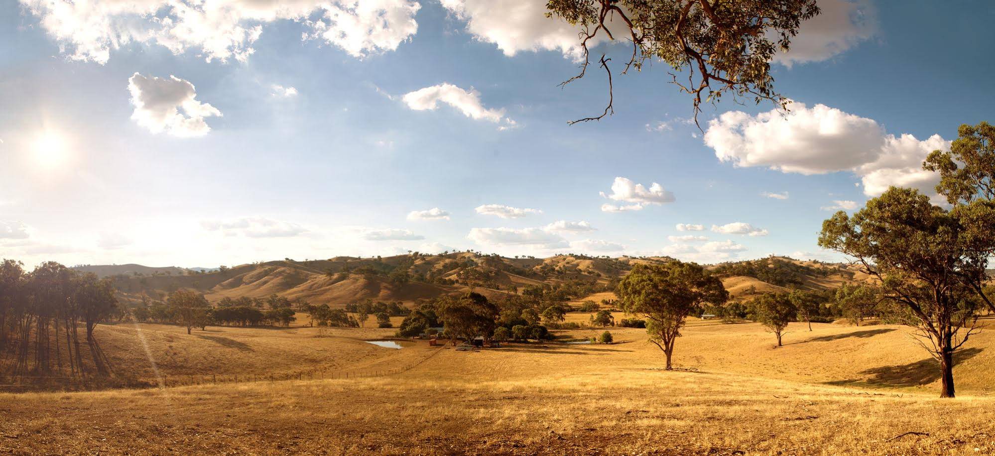 Mittagong Homestead & Cottages