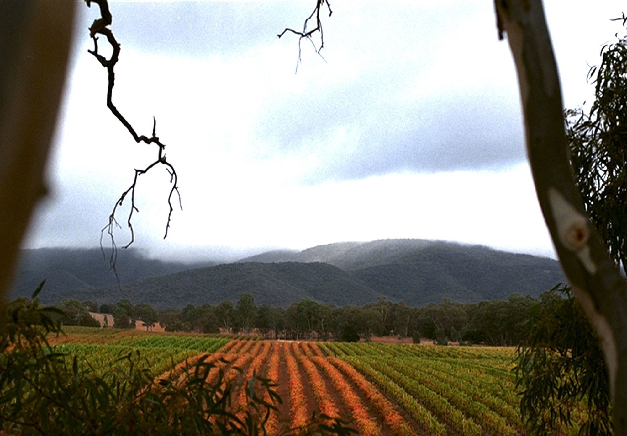 Eco-luxe @ Mount Avoca
