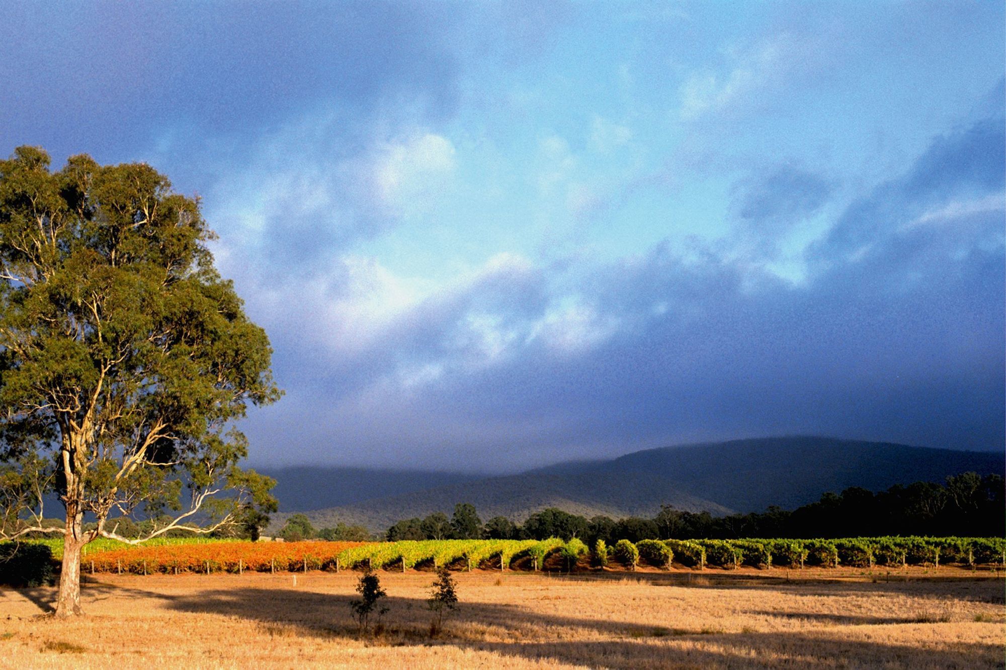 Eco-luxe @ Mount Avoca