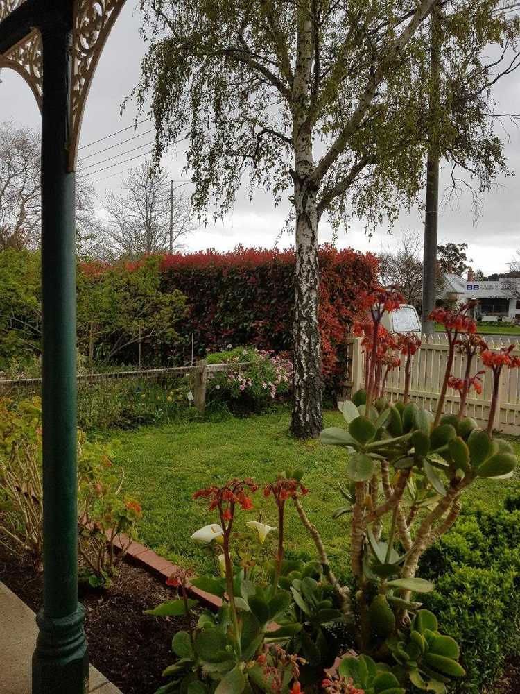 Ballarat's victoriana