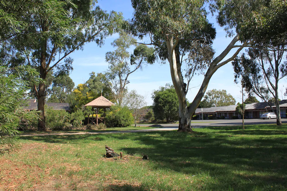 Melaleuca Lodge