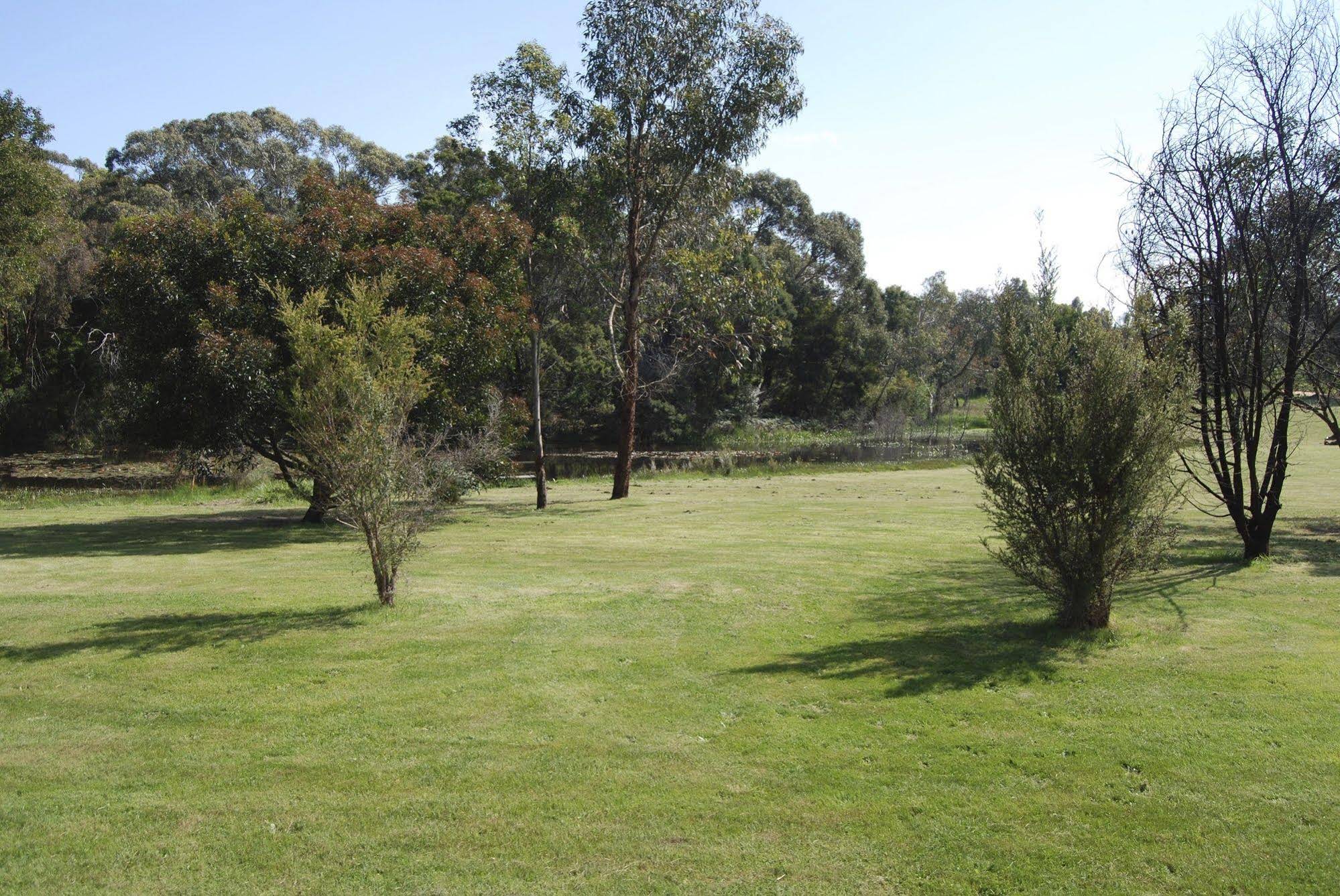 Bellbrae Harvest