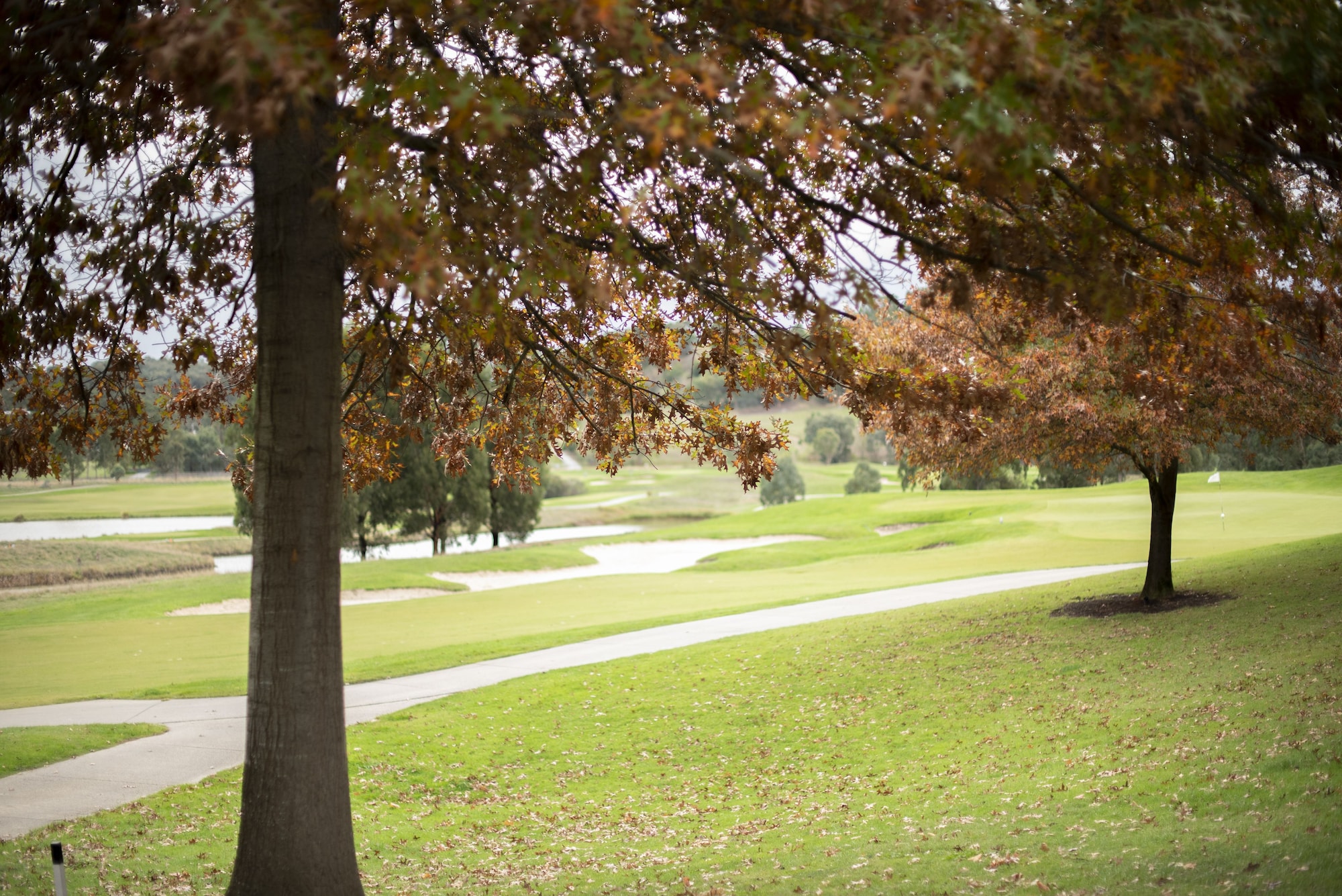 Yarra Valley Lodge