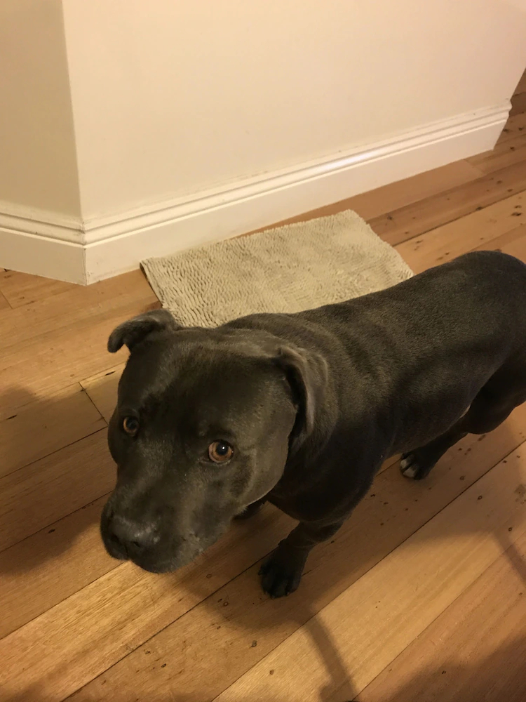 Cowes Phillip Island Holiday Home