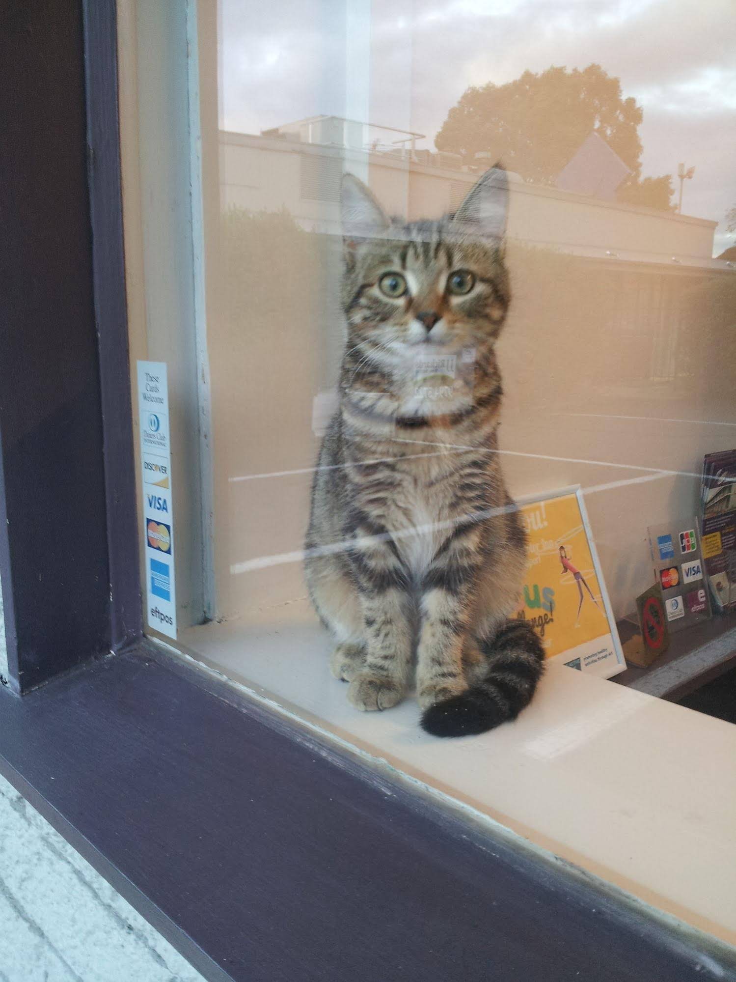 The Prince Mark Motor Inn