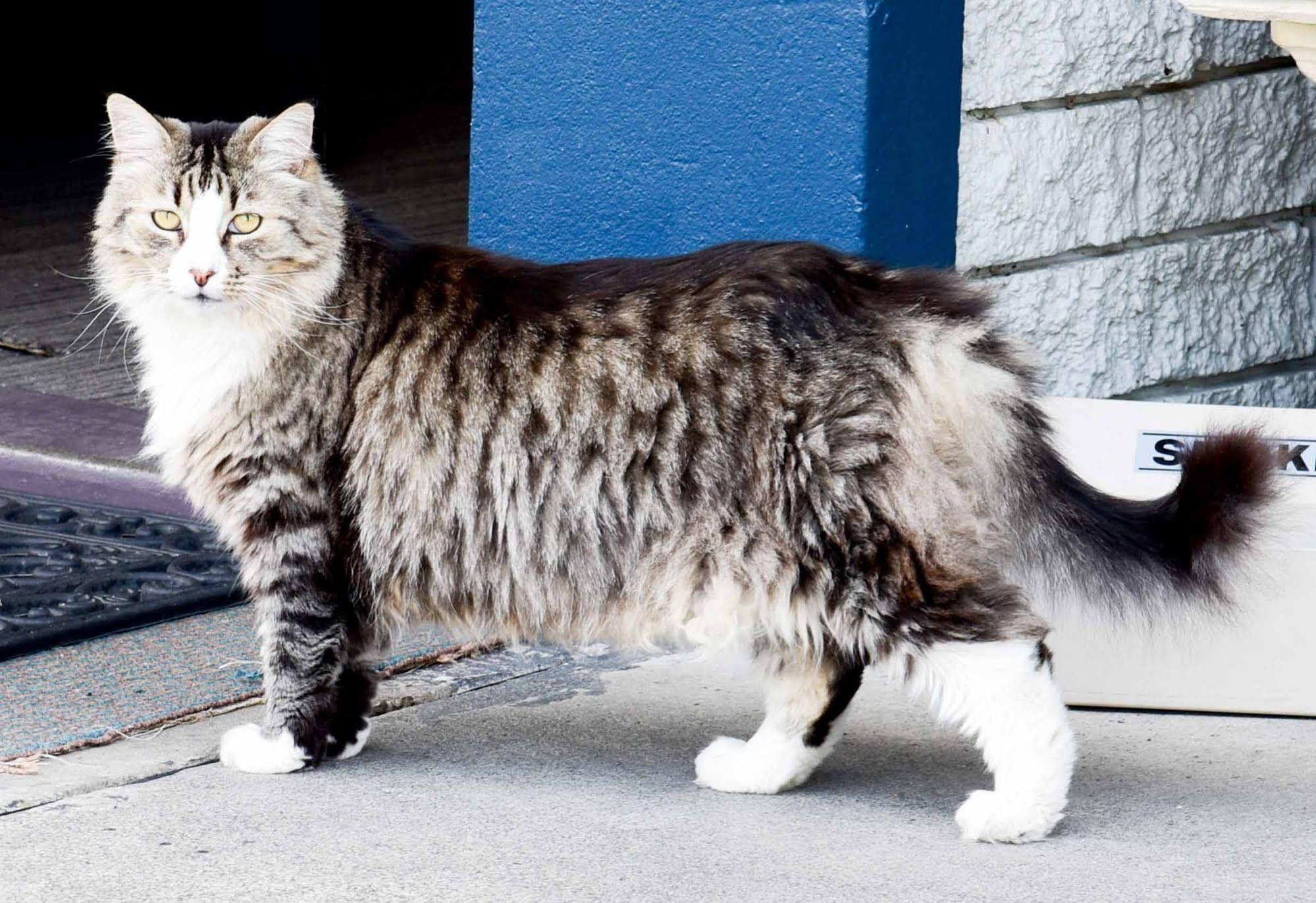 The Prince Mark Motor Inn