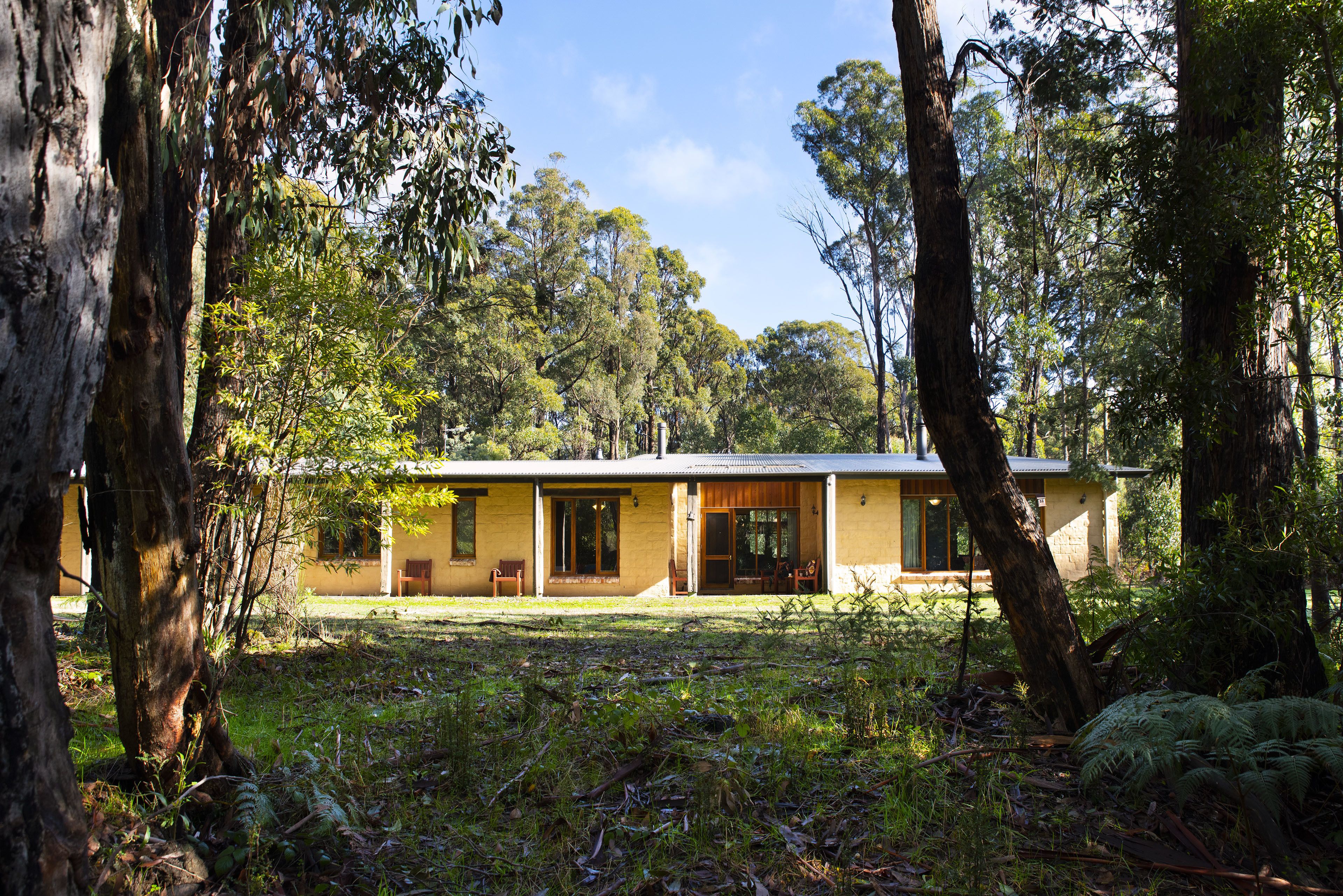 Gumtree Spring