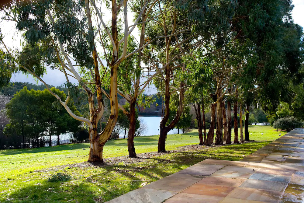 Lake Daylesford Lodge