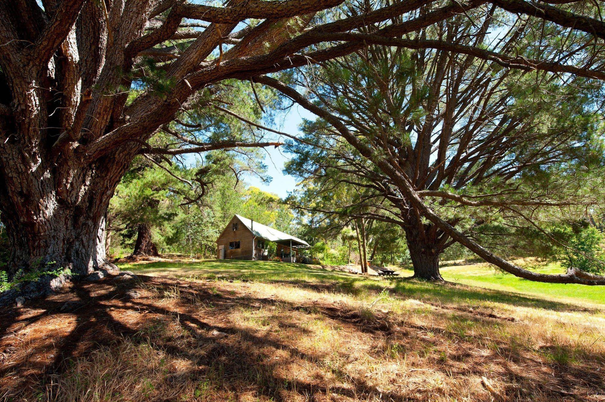 The Lodge
