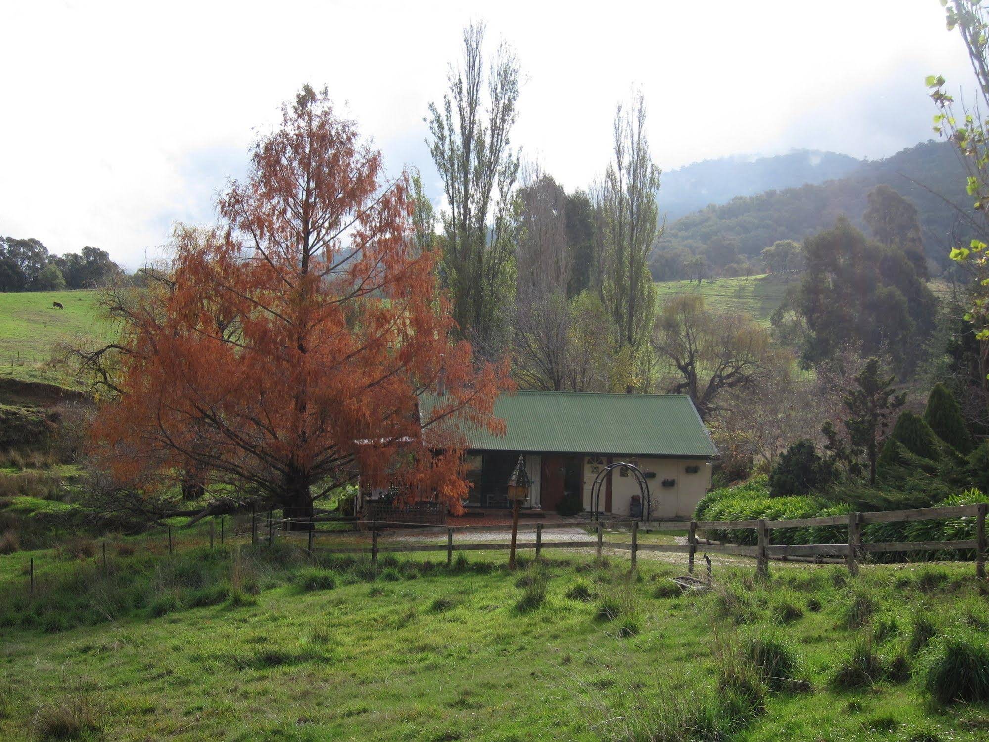 Edelweiss Cottage B&B