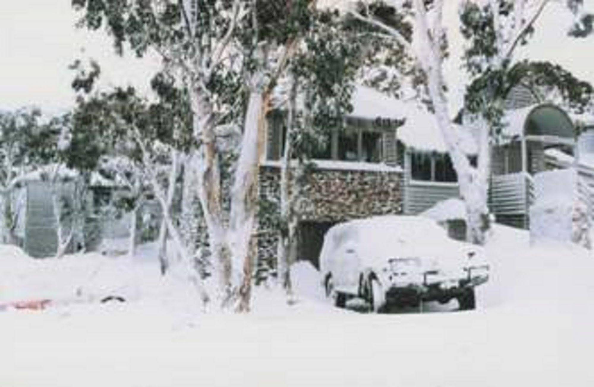 Currawong Lodge