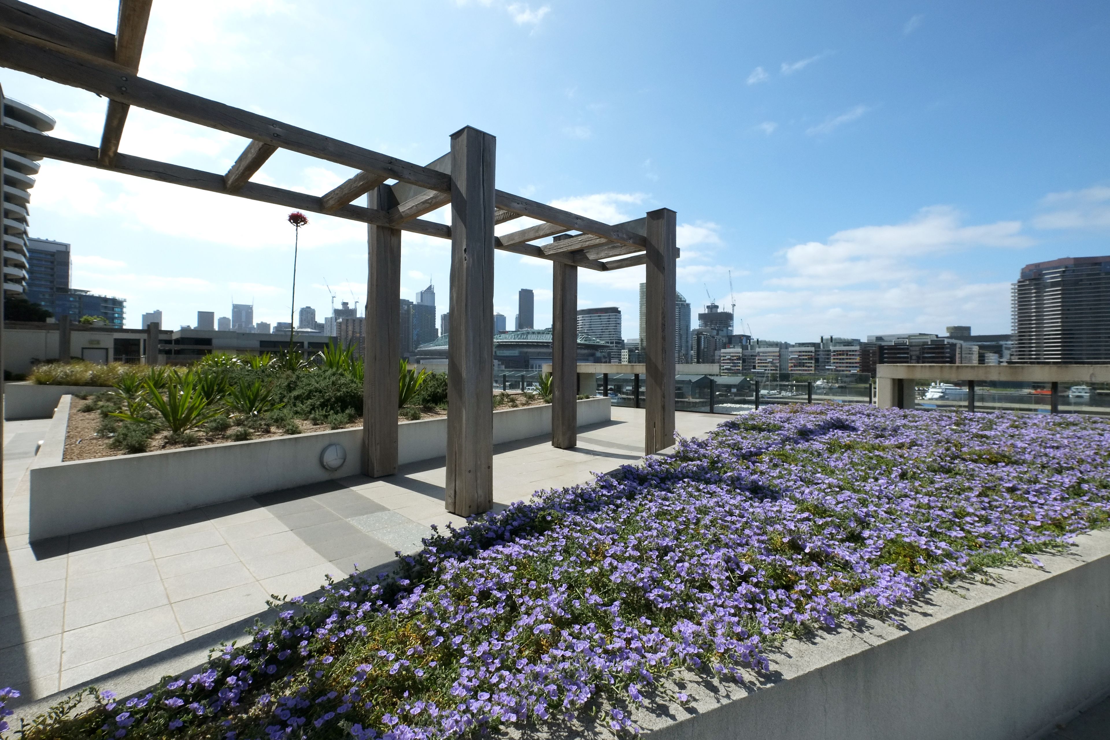 ACD Apartments