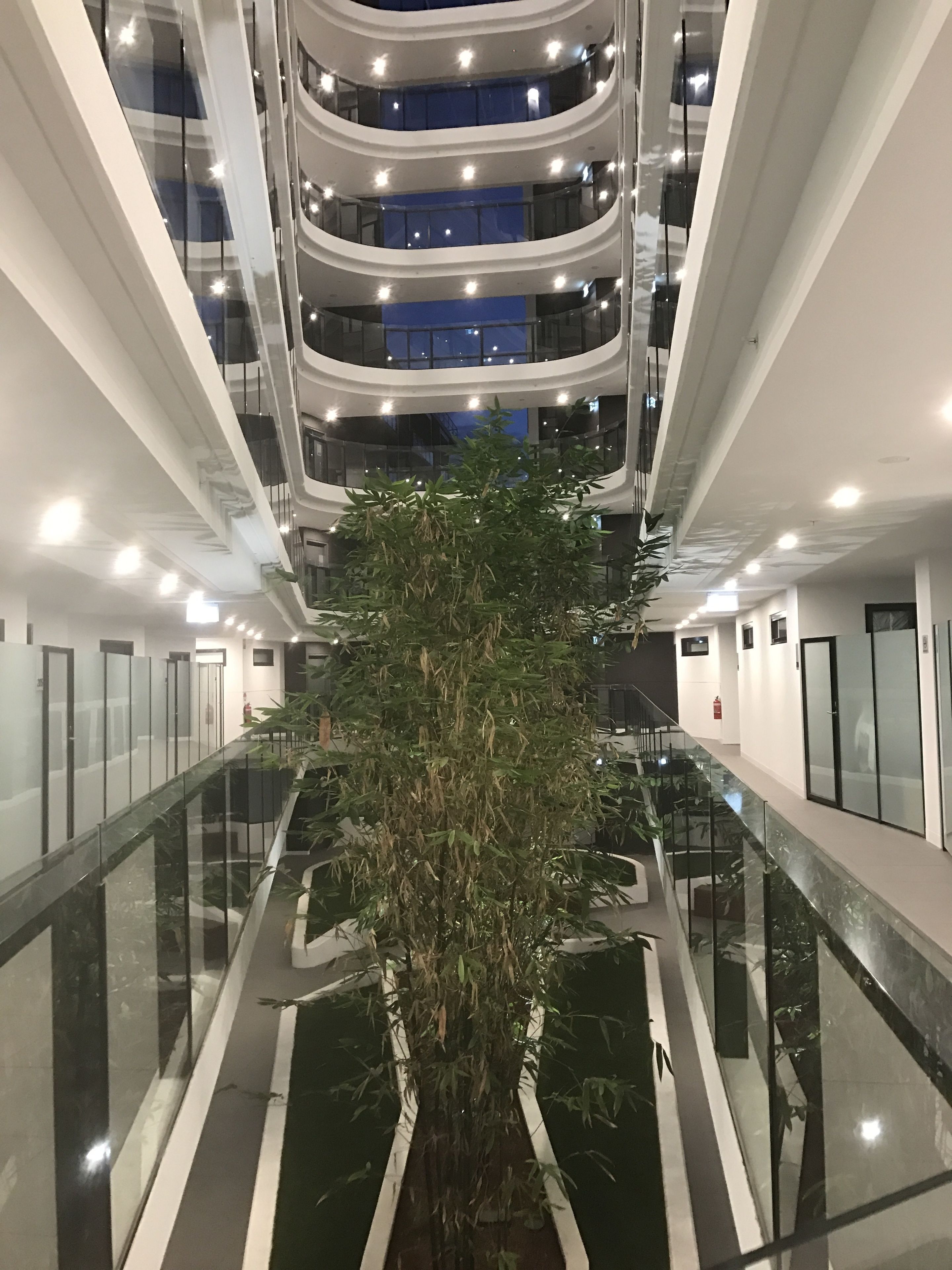 Wisdom Apartments in Doncaster
