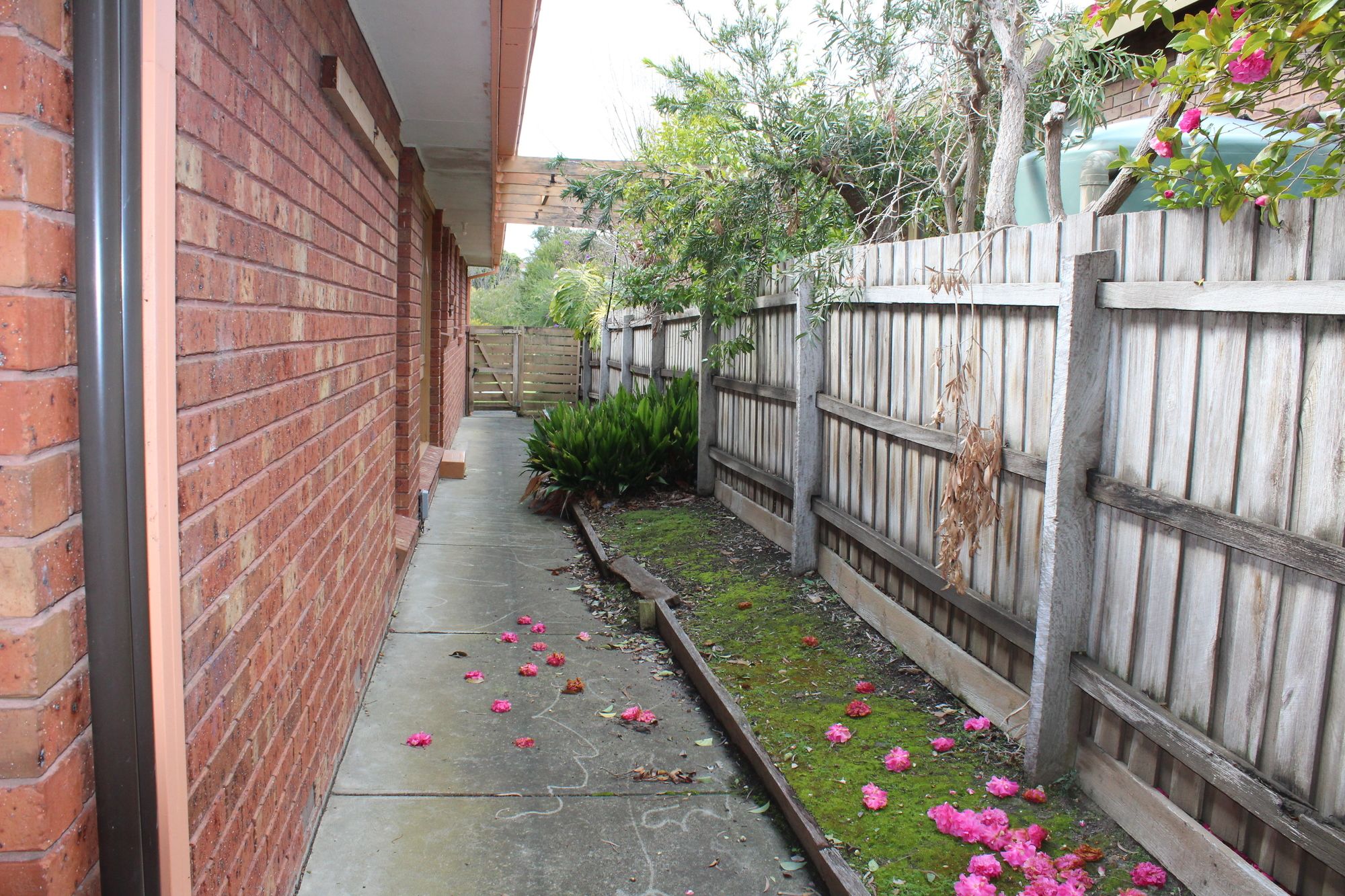 Australian Home Away @ East Doncaster Pine Hill