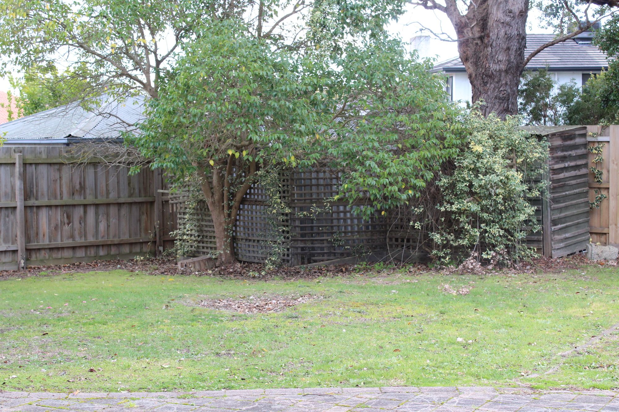 Australian Home Away @ East Doncaster Pine Hill