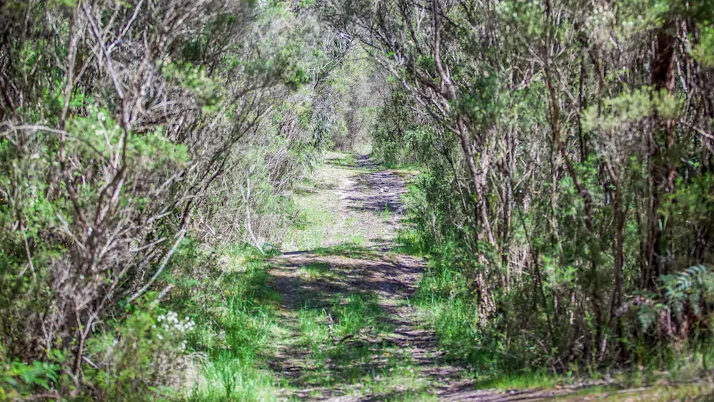 Red Hill Ridge