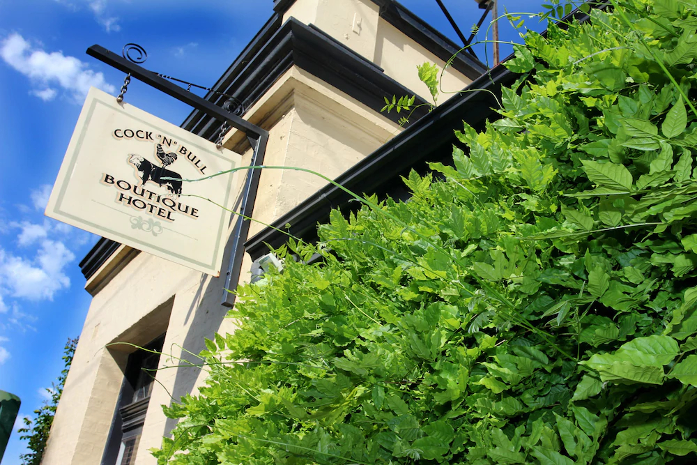 Cocknbull Boutique Hotel