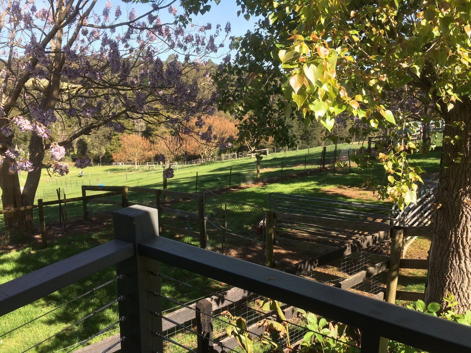 Emerald Ridge Bed & Breakfast